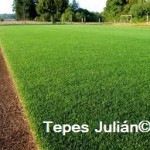 cesped natural Tepes Julian cesped natural Tepes Julian