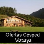 cesped vizcaya