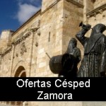 cesped zamora