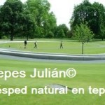 como hacer un jardin Tepes Julián como hacer un jardin Tepes Julián