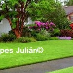 el cesped Tepes Julian el cesped Tepes Julian