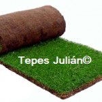 precio tepes césped natural precio tepes césped natural
