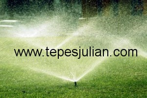 Instalación de Césped - Tepes Julián