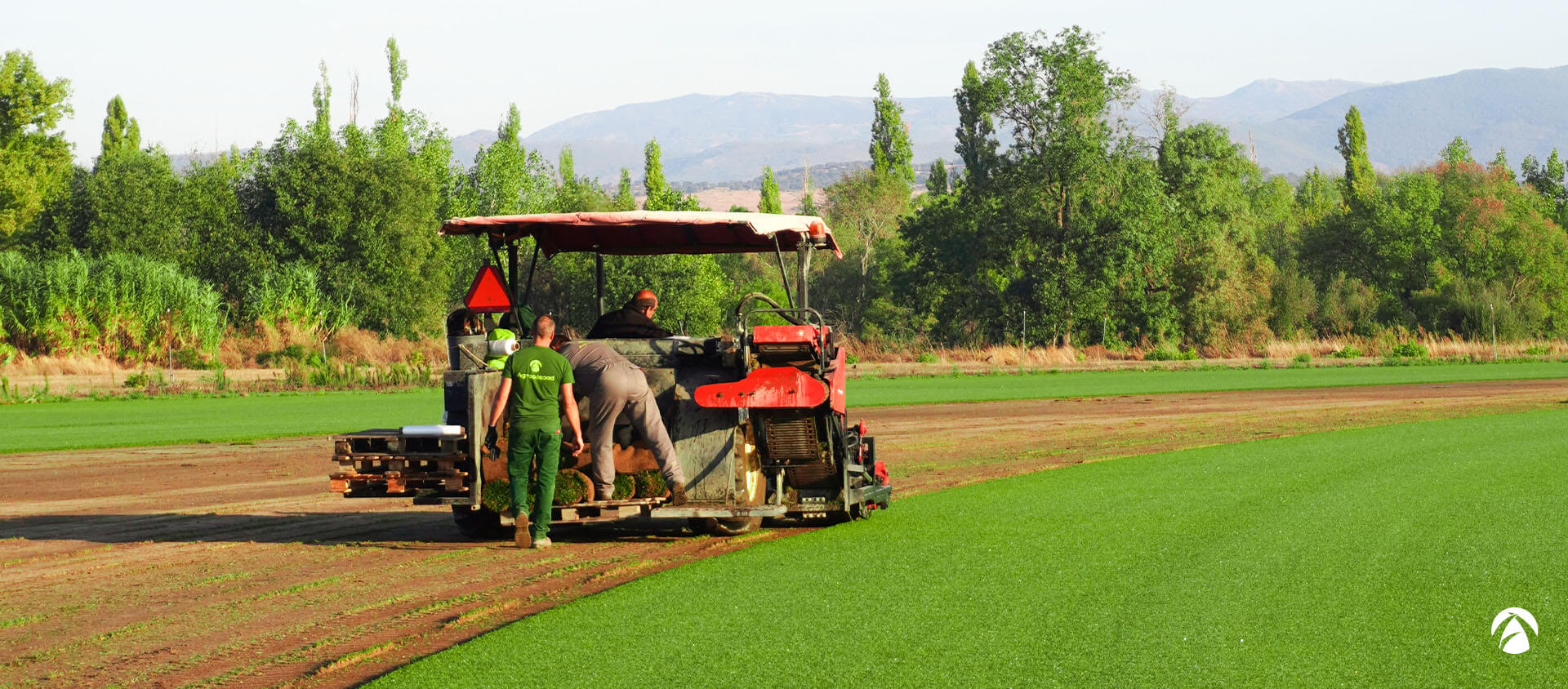 Empresa de césped natural en tepes